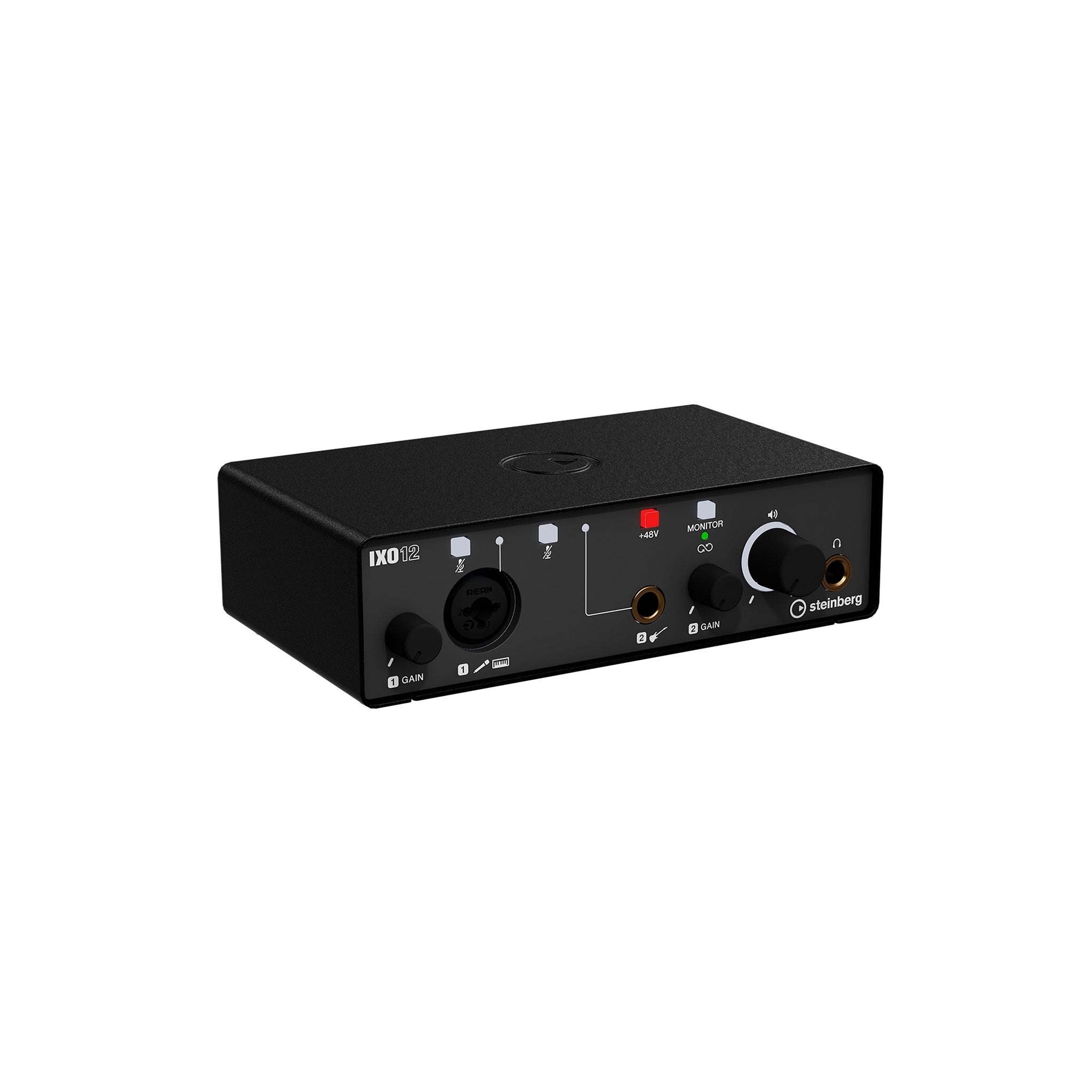 Steinberg IXO12 Professional 2 x 2 USB 2.0 Audio Interface with High - Quality Mic Preamp for Music, Podcast and Content Recording