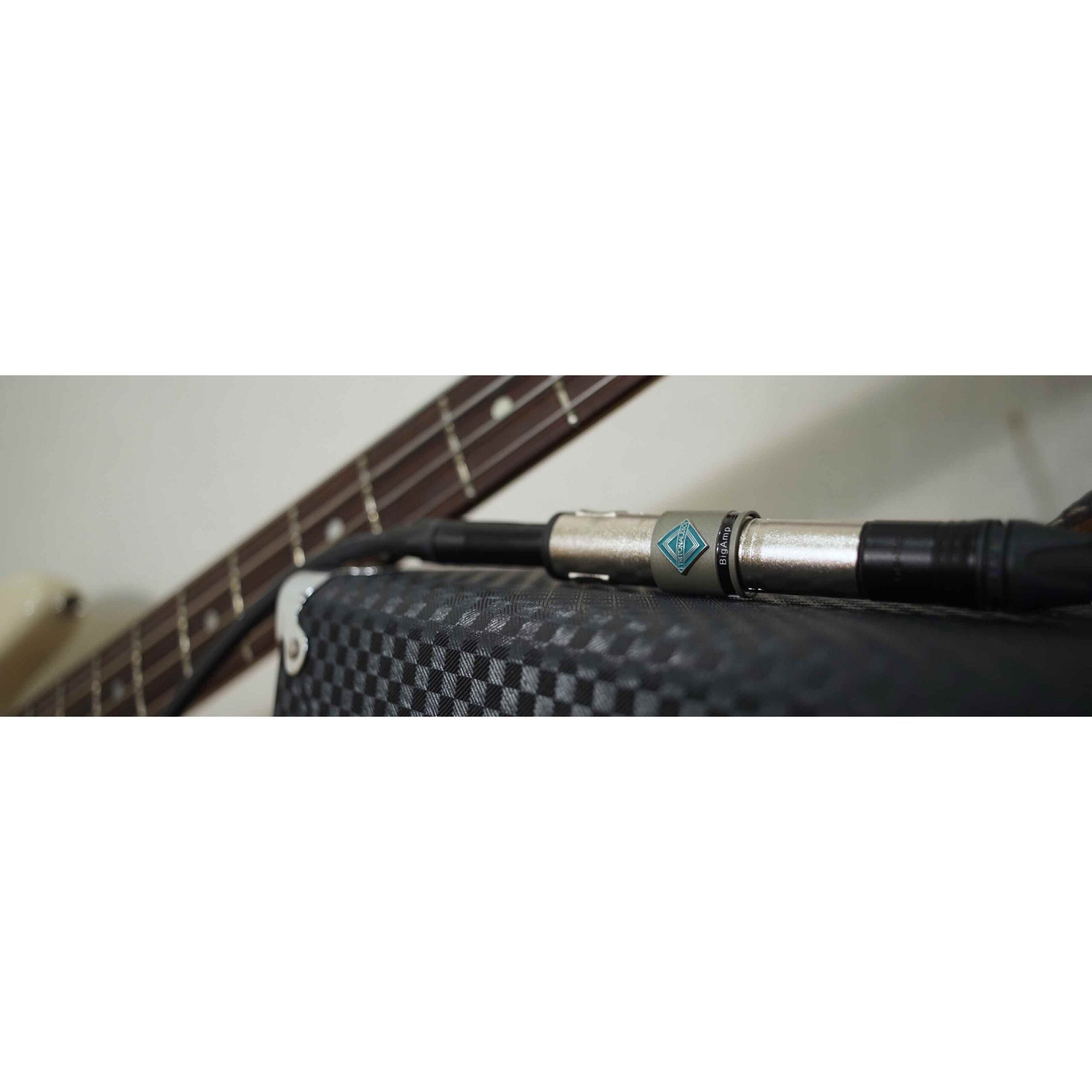 TritonAudio BigAmp: High - Quality In - Line Instrument Preamp for Stage and Studio