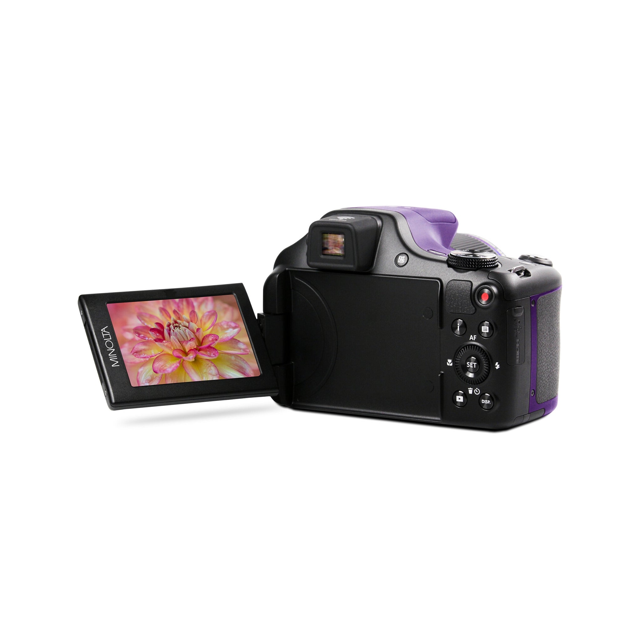 Purple Minolta MN67Z Bridge Digital Camera with 20 Megapixels, 1080p HD Video Recording and 67x Optical Zoom