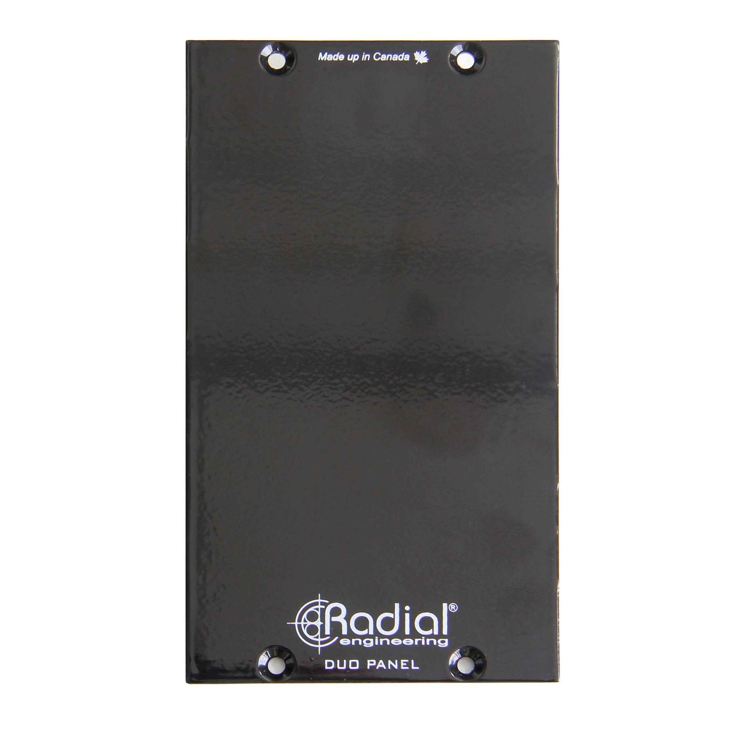 Radial Double Space Blank Panel for 500 Series Audio Equipment - A Reliable Protective Accessory