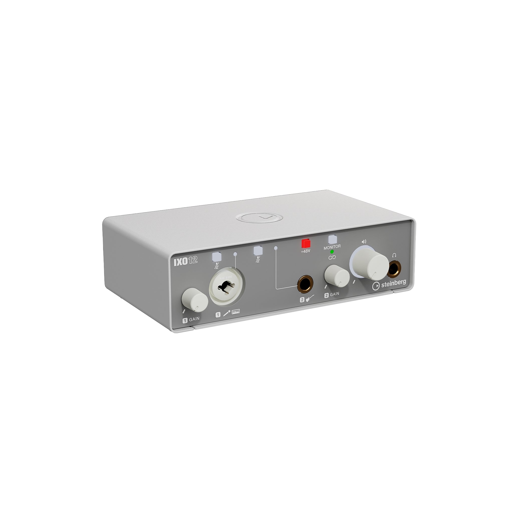 Steinberg IXO12 Professional 2 x 2 USB 2.0 Audio Interface with High - Quality Mic Preamp for Music, Podcast and Content Recording
