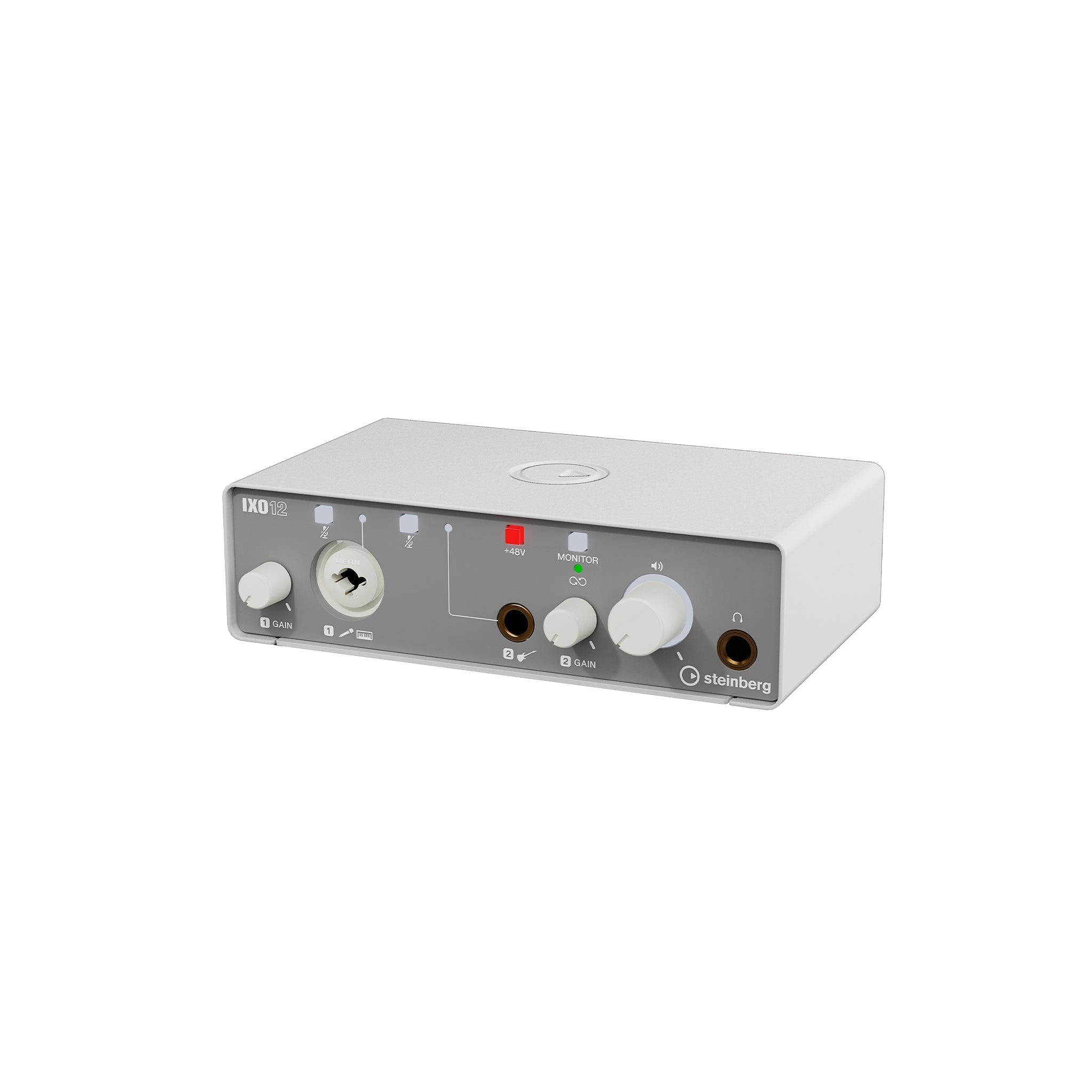 Steinberg IXO12 Professional 2 x 2 USB 2.0 Audio Interface with High - Quality Mic Preamp for Music, Podcast and Content Recording